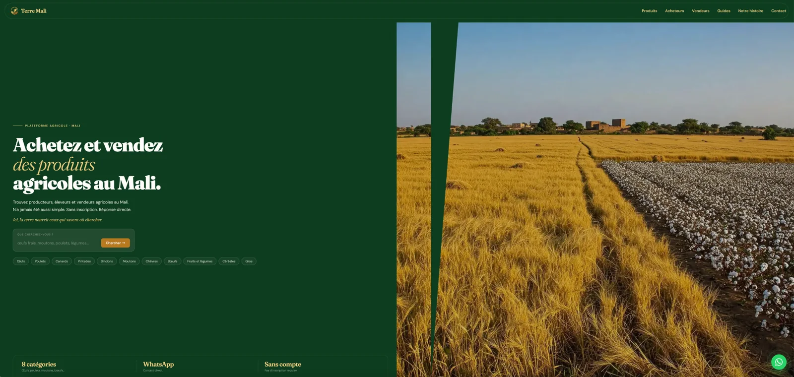 Aperçu desktop du site Terre Mali
